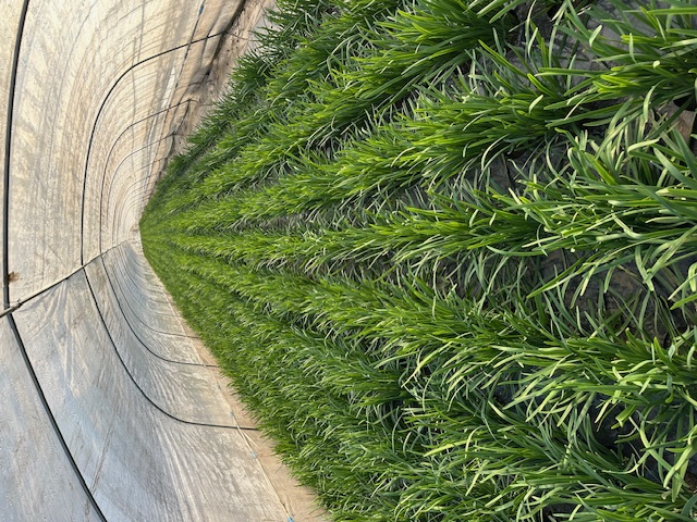 今年もお世話になりました